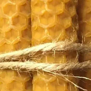 Medus, vaško korio bičių vaškas ekologinių 9 vienetų