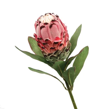 1Pc Dirbtinis Protea Cynaroides Gėlių Augalų 