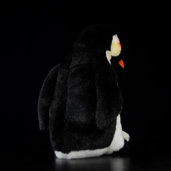 Imperatorius Pingvinas Įdaryti Lėlės Gyvūnų Mielas Aptenodytes forsteri Antarkties Modeliavimas Tikroviška Kawaii Realiame Gyvenime Pliušinis Vaikų Dovanų