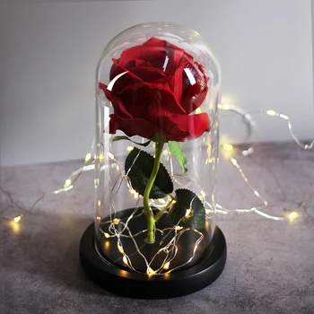Amžinas Konservuoti Rose su Stiklo Kupolas Šilko Rožių Amžinai Meilės su 10 LED Žibintai, Vestuvių Naudai Šalis Dovanos Moterims