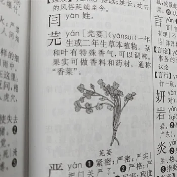 Šiuolaikinės Kinų kalbos Žodynas su Iliustracijomis Kinijos Studentams Pagrindinio Kinų studentų
