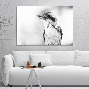 Kukabaros Paukštis Juoda Balta Plakato Meno kūrinius Gyvūnų Drobė Spausdinti Šiaurės Stiliaus Meno Tapyba Sienos Nuotrauka už Kambarį Apdaila
